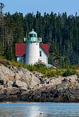 Little River Light Surrounded by Evergreens in Downeast Maine